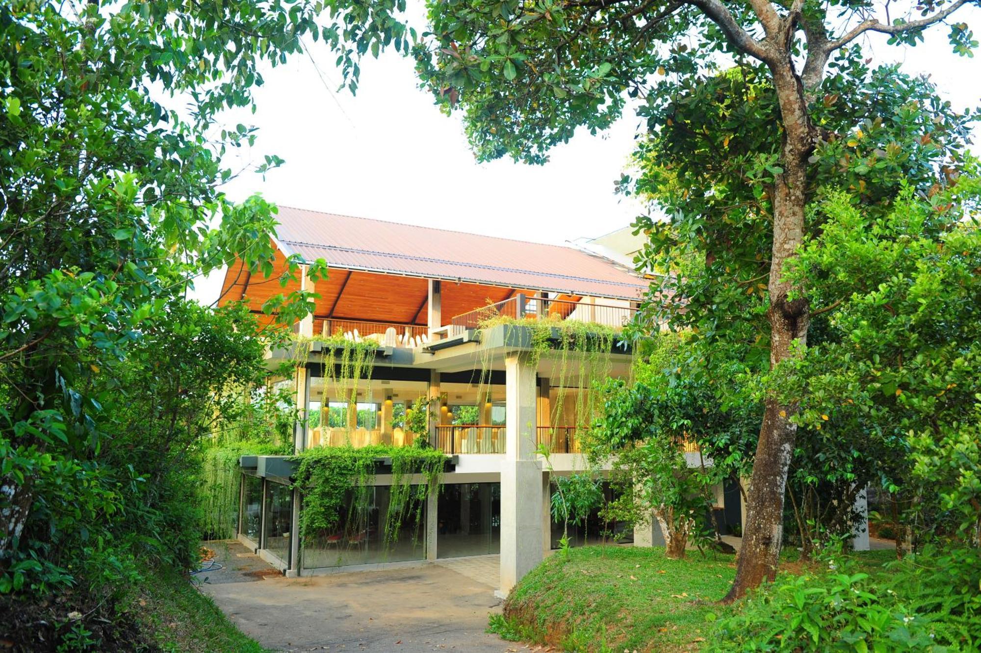פאדוקה Kithul Kanda The Mountain Resort מראה חיצוני תמונה