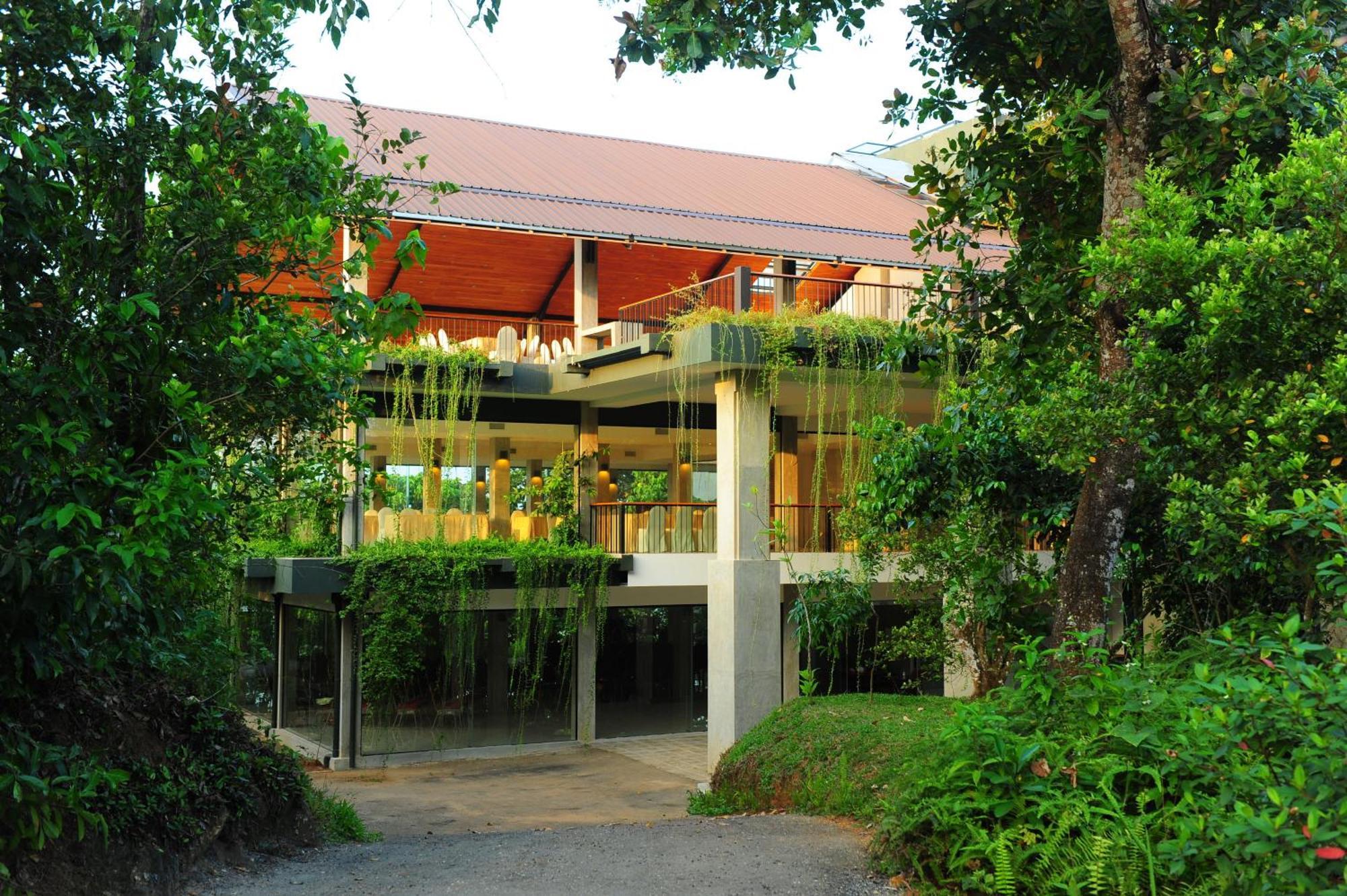 פאדוקה Kithul Kanda The Mountain Resort מראה חיצוני תמונה